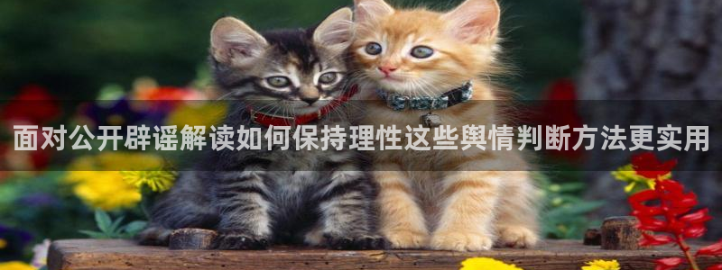 黑料爆料热门话题