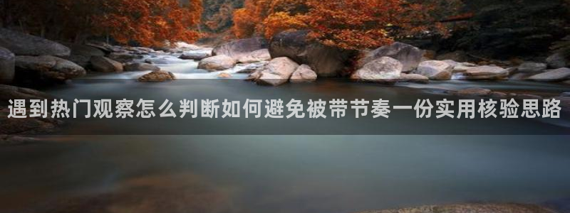 热门资讯动态