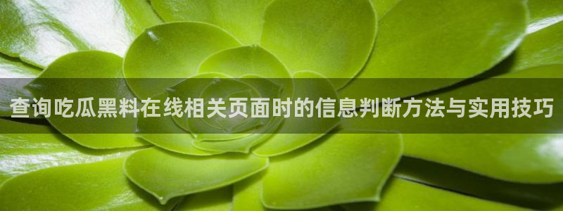 黑料爆料热点网站