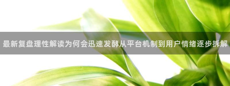 黑料爆料入口大全