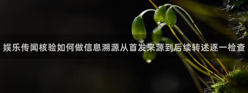 黑料爆料网页入口