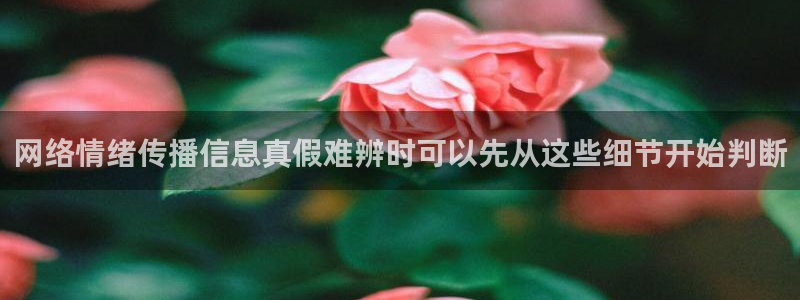 黑料热门事件:网络情绪传播信息真假难辨时可以先从这些细节开始判断