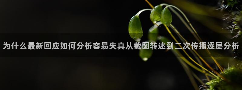 黑料爆料搜索:为什么最新回应如何分析容易失真从截图转述到二次传播逐层分析