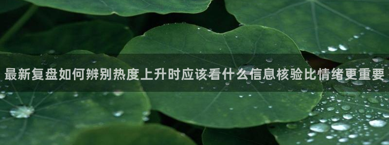 黑料爆料资讯大全：最新复盘如何辨别热度上升时应该看什么信息核验比情绪更重要