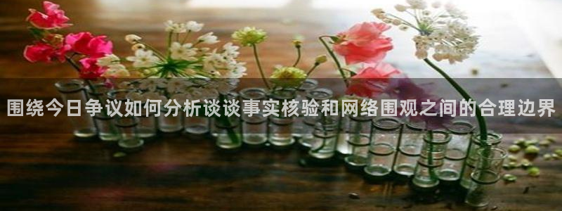 网络话题大全：围绕今日争议如何分析谈谈事实核验和网络围观之间的合理边界